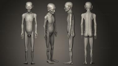 Figurines of people Acupuncture model 3d model